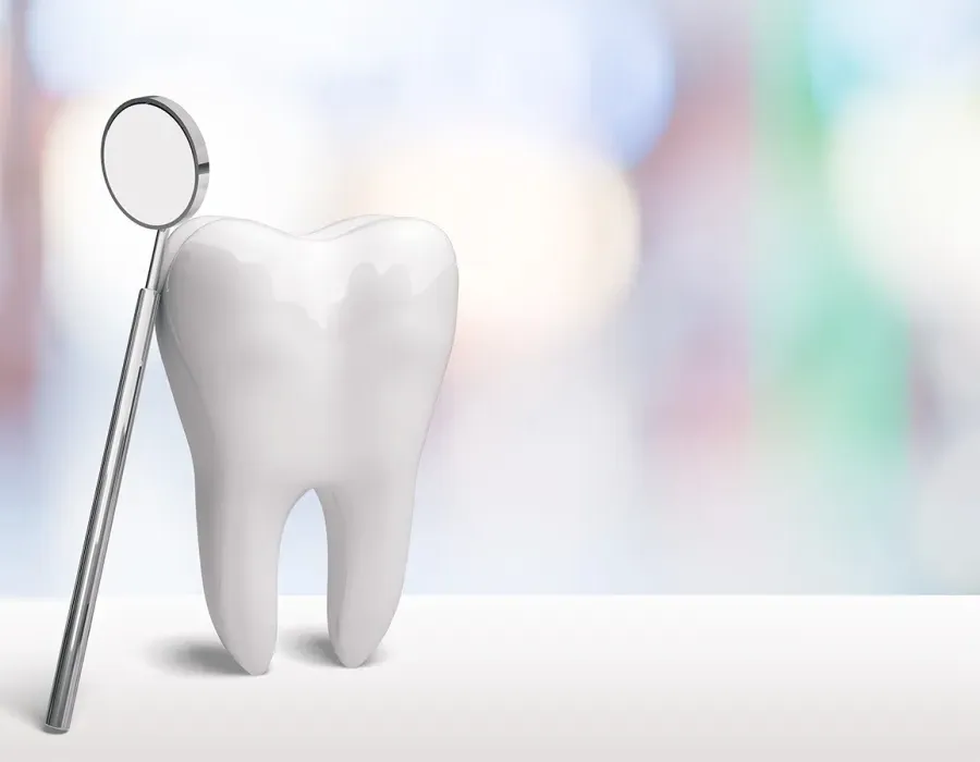 Vector image tooth with mirror leaning on it